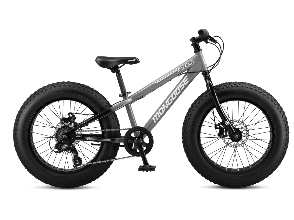 Argus ST 20in
