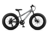 Argus ST 20in