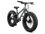 Argus ST 20in