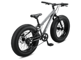 Argus ST 20in