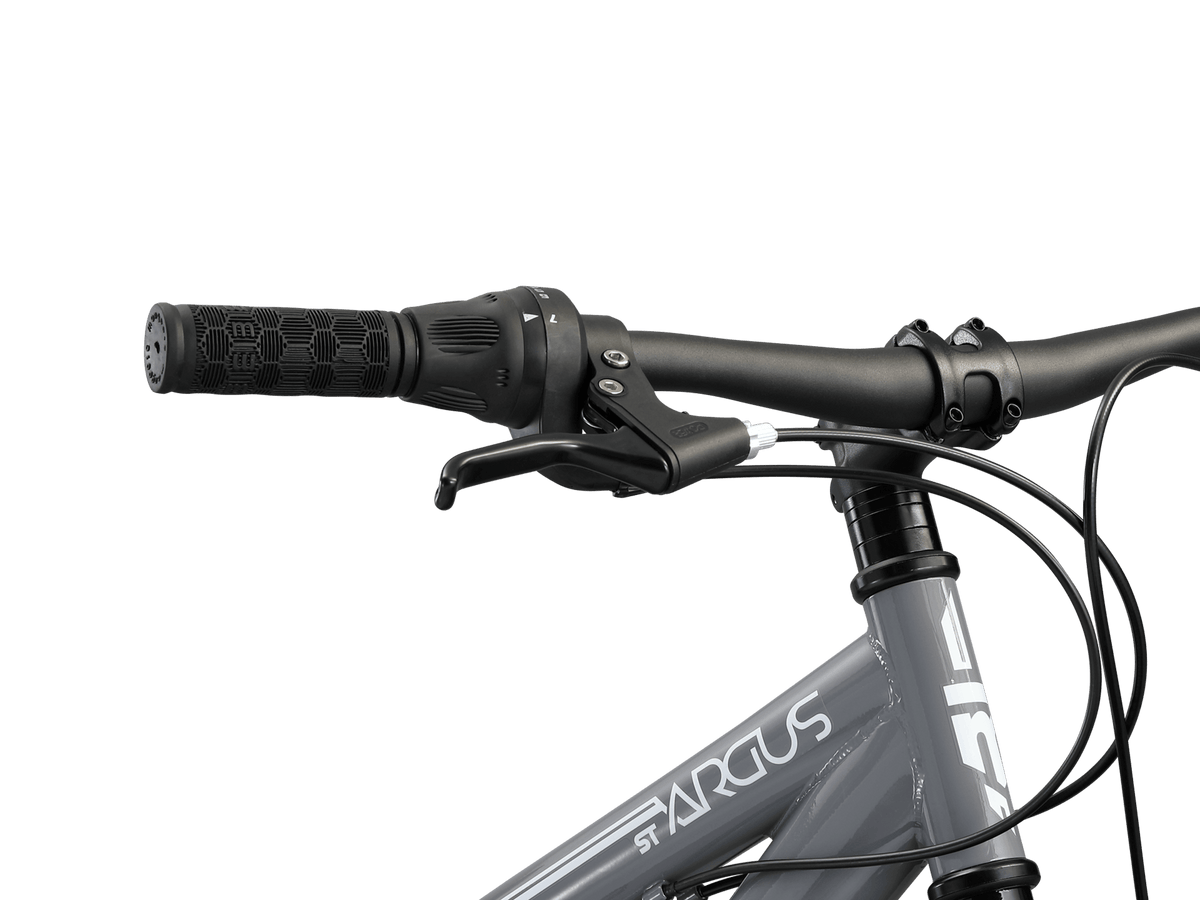 Argus ST 20in