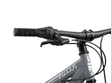 Argus ST 20in