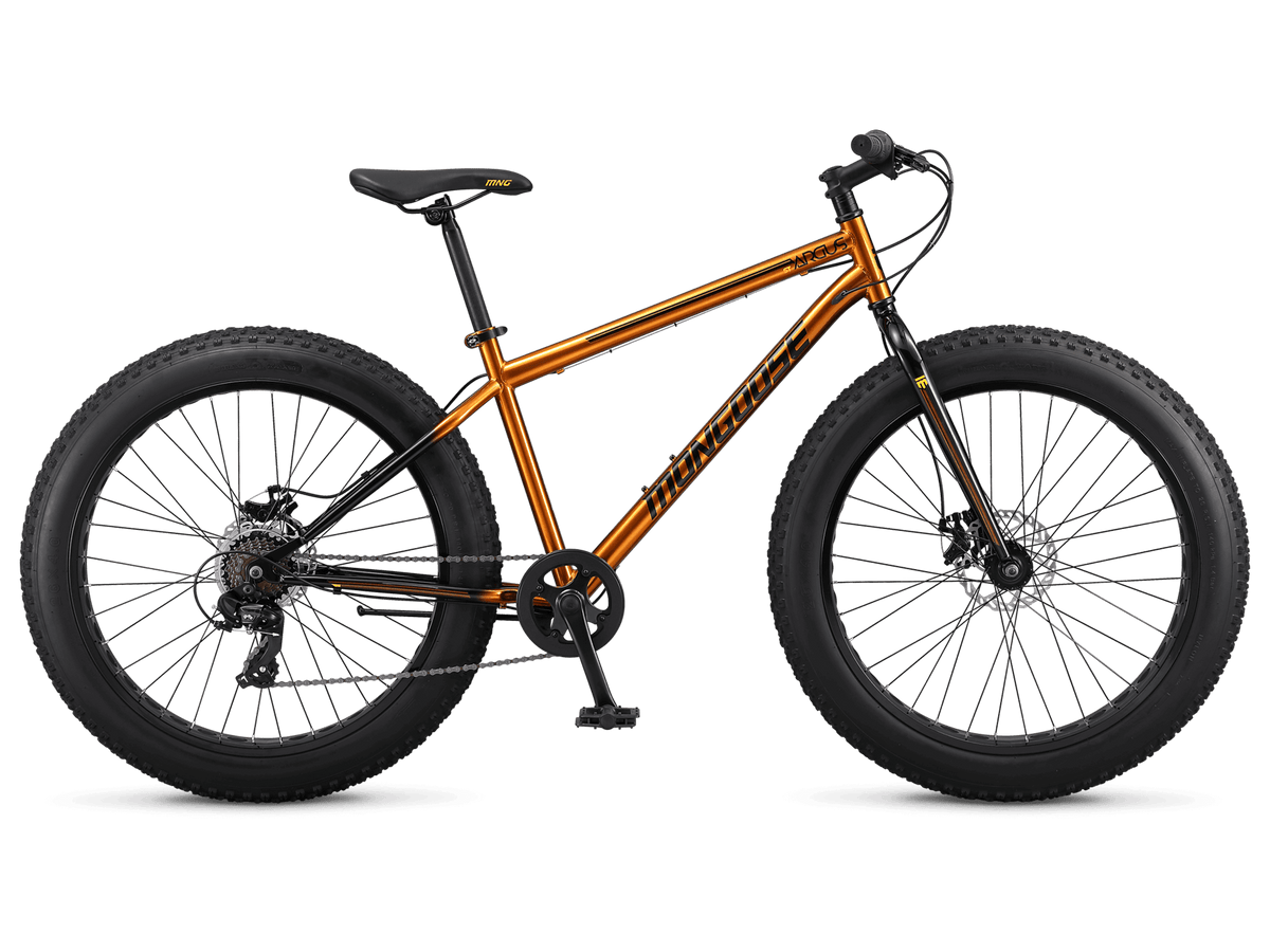Argus ST 26in