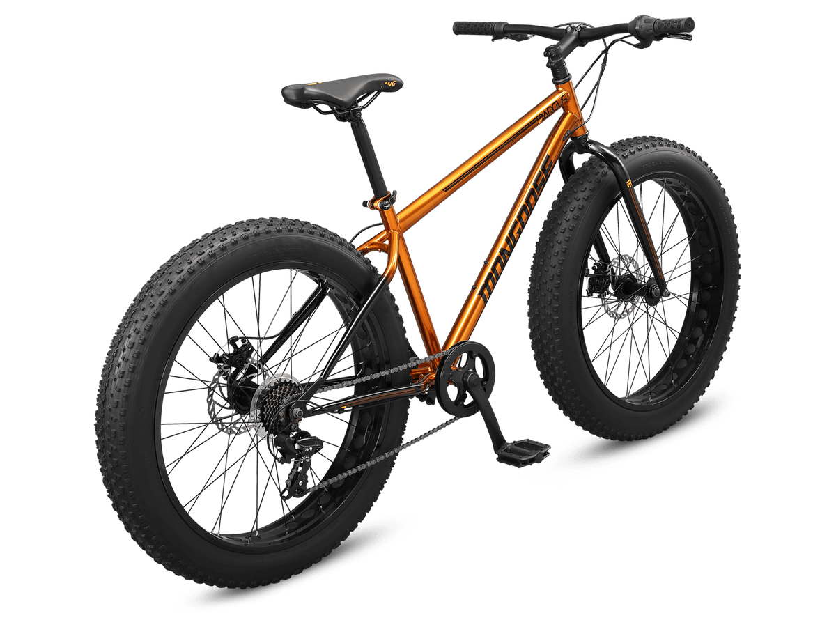 Argus ST 26in