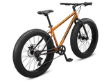 Argus ST 26in