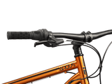 Argus ST 26in