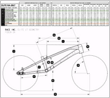 Race Inc Elite RA-20LT Frame (Pre-Order READ DESCRIPTION)
