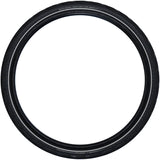 Schwalbe Marathon Efficiency Tire - 700 x 38 Clincher Folding BLK/Reflective Evolution Line Super Race Addix Race E-50