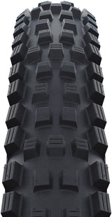 Schwalbe Magic Mary Tire - 29 x 2.25" Tubeless Folding BLK Evolution Line Addix Soft Super Trail