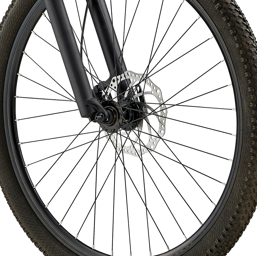 Alpaka 29" MTB
