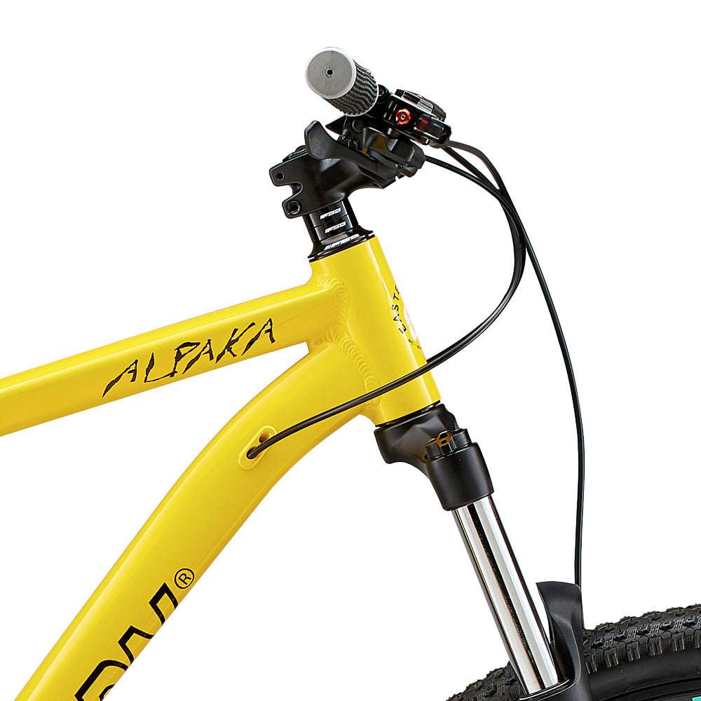 Alpaka 29" MTB