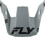 Fly Racing Rayce Helmet Visors 2024 Grey