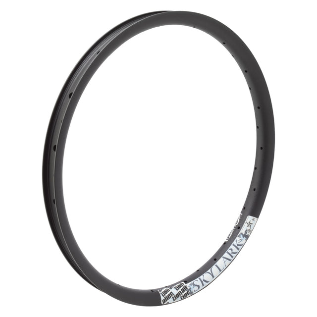 Alienation Skylark 20in 36H Rim
