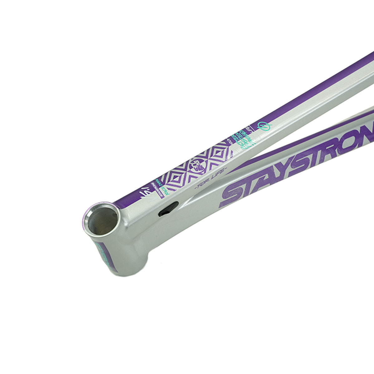 Stay Strong For Life V5.1 Disc Alloy BMX Race Frame-Purple/Silver