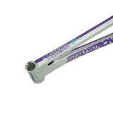 Stay Strong For Life V5.1 Disc Alloy BMX Race Frame-Purple/Silver