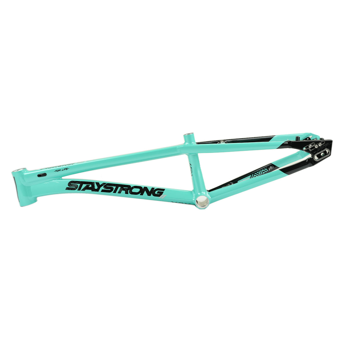 Stay Strong For Life V5.1 Disc Alloy BMX Race Frame-Tiffany/Black
