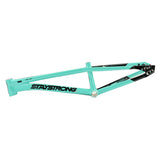 Stay Strong For Life V5.1 Disc Alloy BMX Race Frame-Tiffany/Black