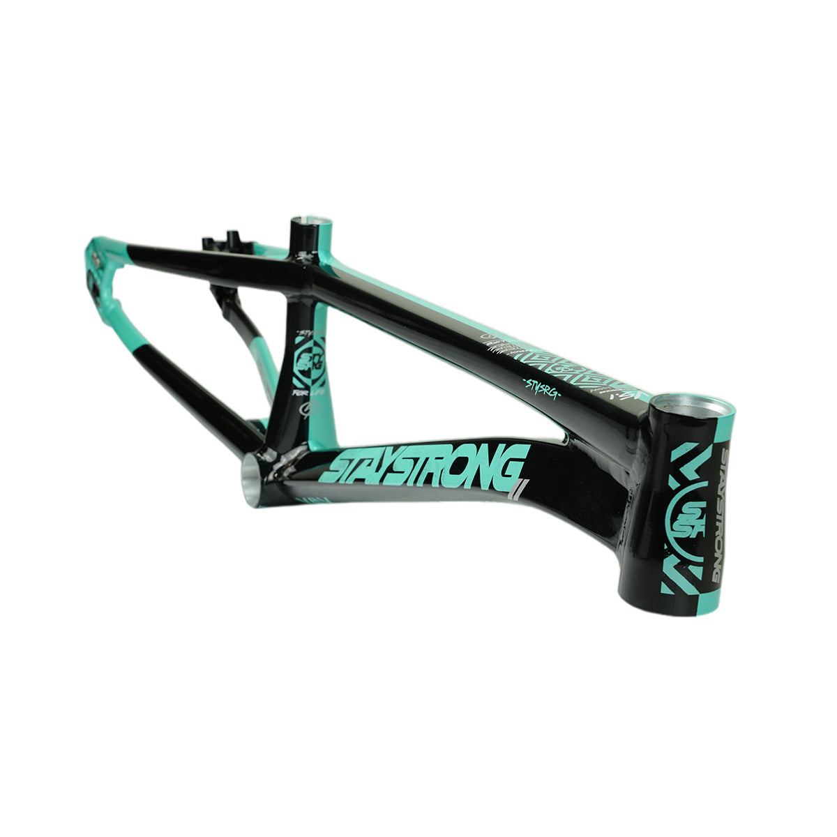 Stay Strong For Life V5.1 Disc Alloy BMX Race Frame-Tiffany/Black