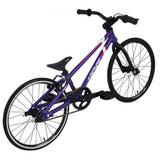 Inspyre Neo Micro 15.75