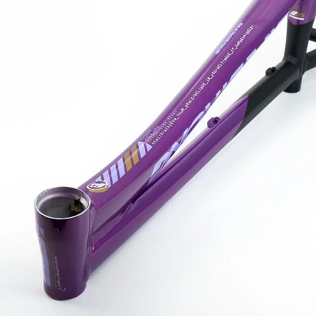 Stay Strong For Life V5 V-Brake Alloy BMX Race Frame-Purple/Black