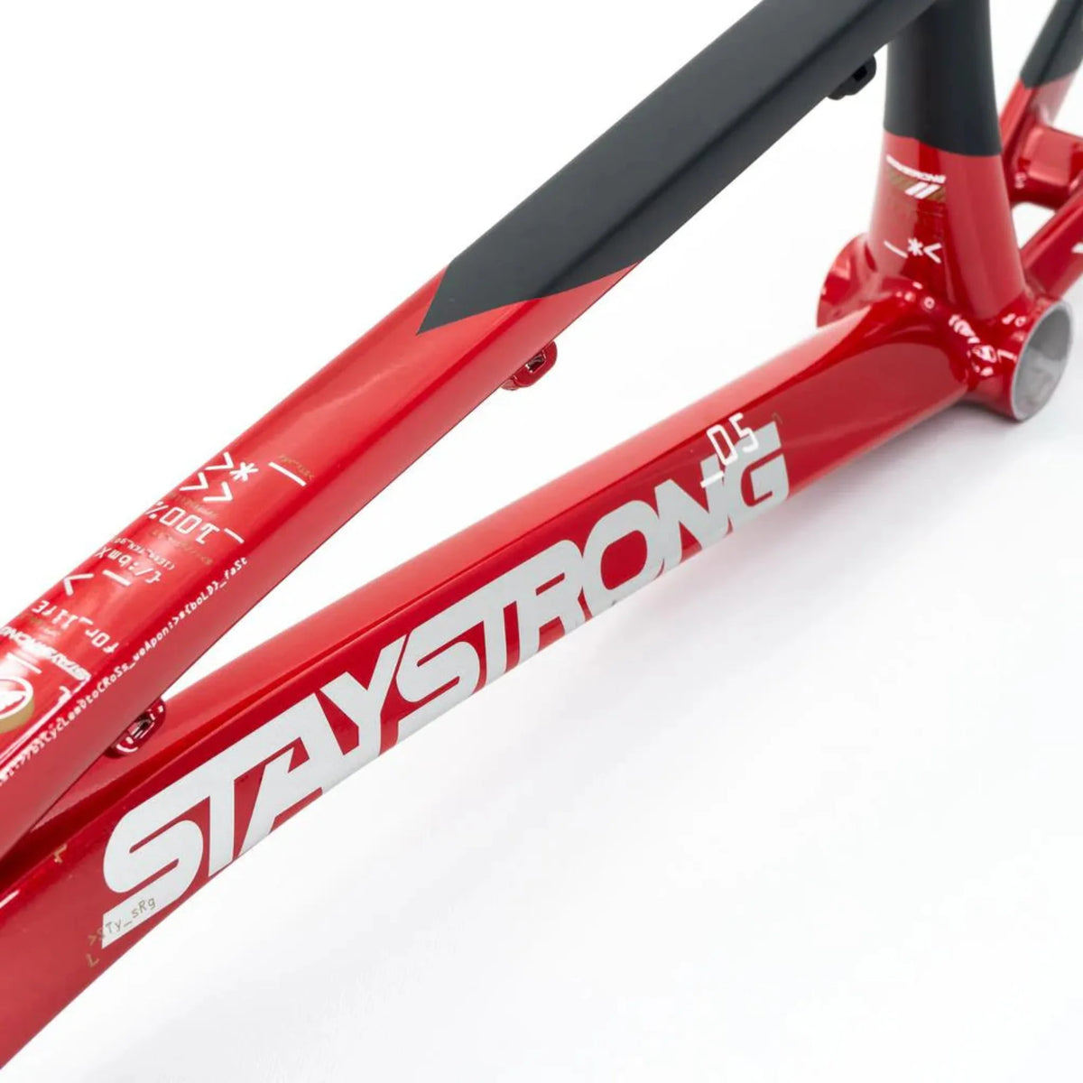 Stay Strong For Life V5 Disc Alloy BMX Race Frame-Red/BlacK