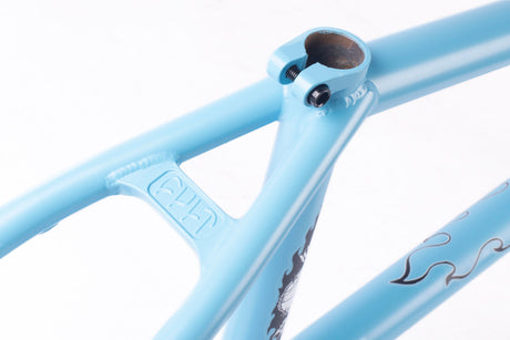 Shorty Frame / high desert colorway / baby blue