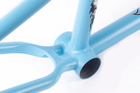 Shorty Frame / high desert colorway / baby blue