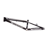 CEO Frame Expert (19.25″ TT)